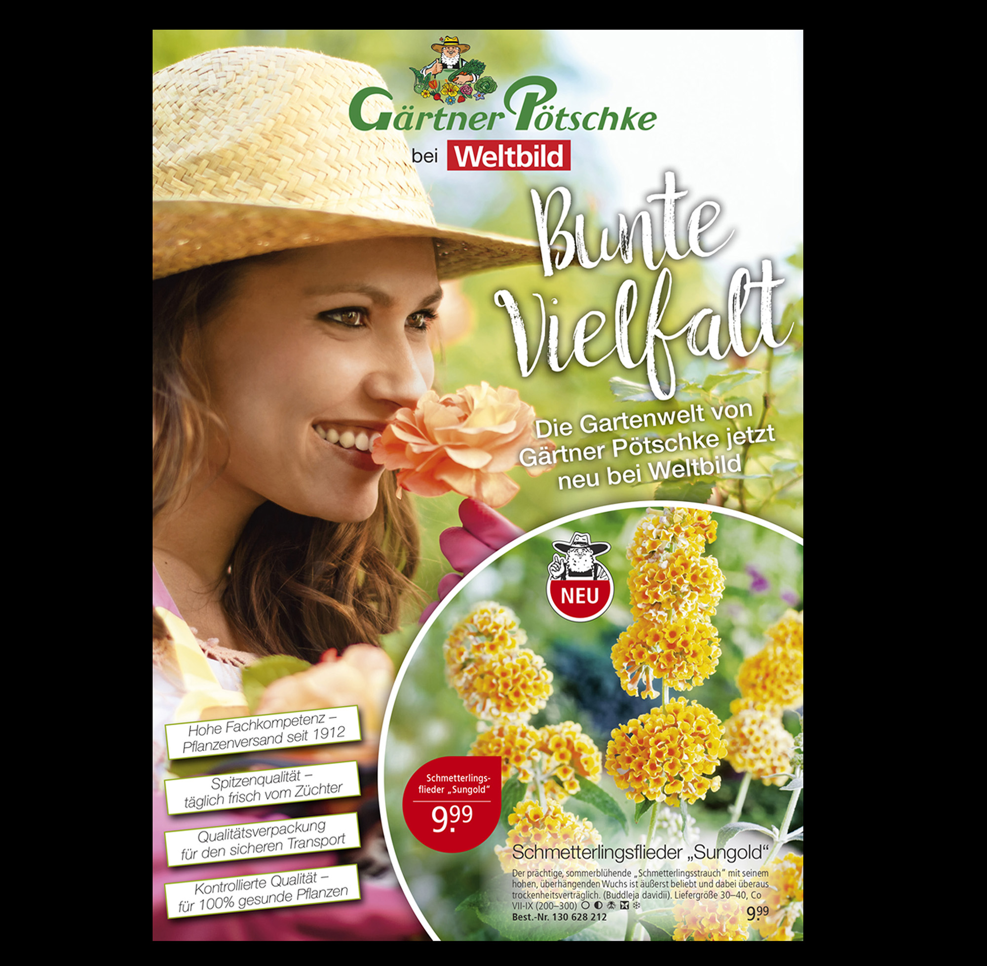 Katalogtitel und Innenseiten